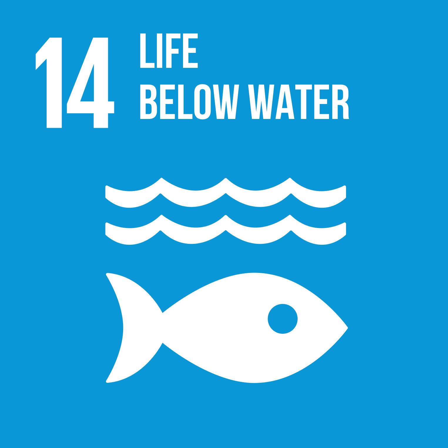 SDG 14-Life below water