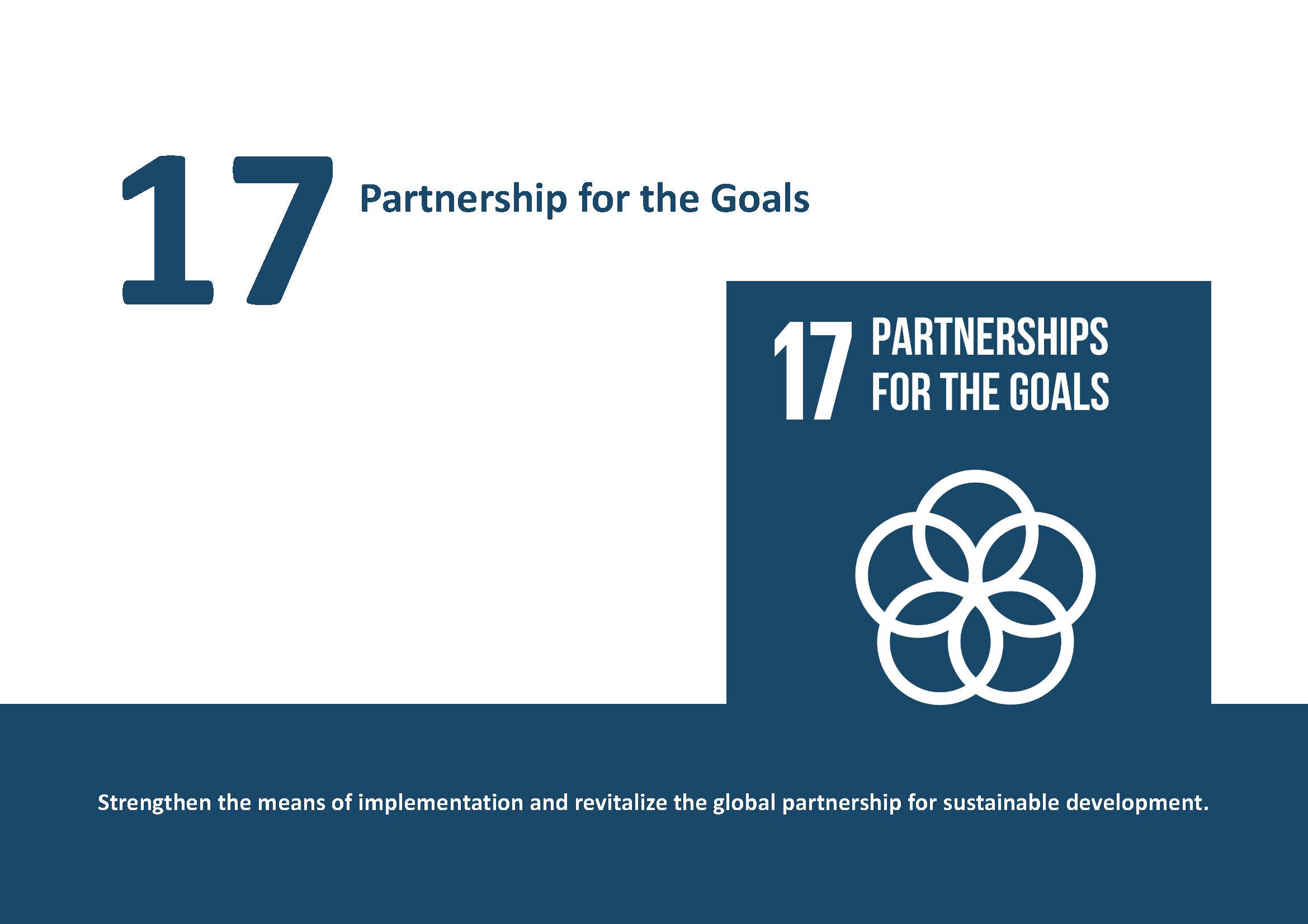 2023-SDGs17_En(1)