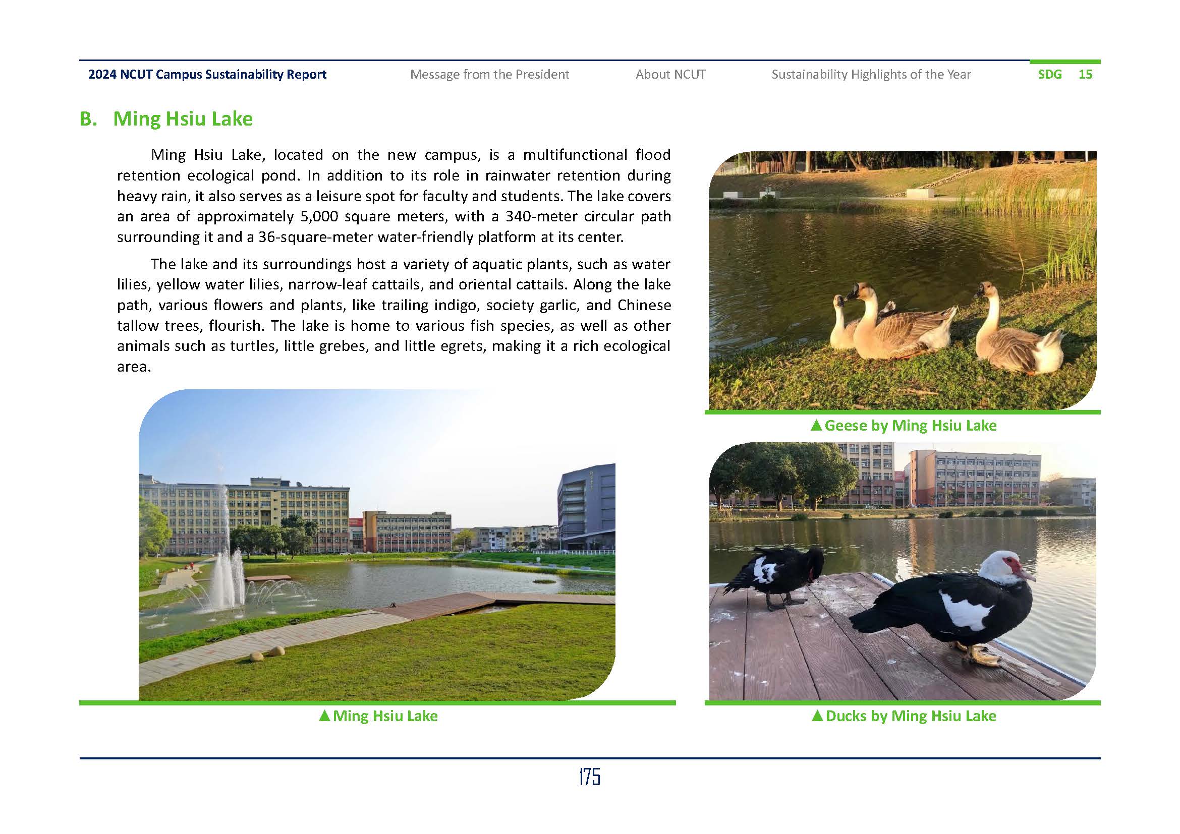 2024-SDGs15_En(3)