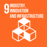 Goal 9Image
