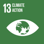 Goal 13Image