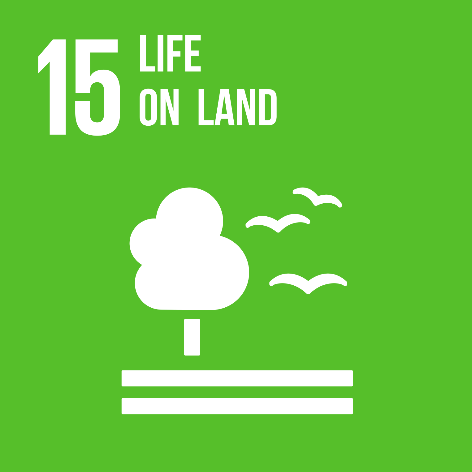 【SDG 15】 Life on Land